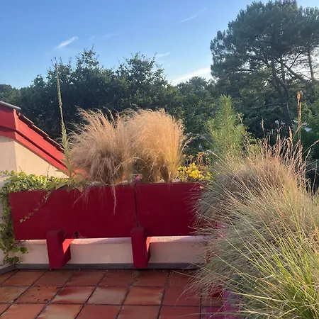 Holiday home Amapola, Familiale Et Calme