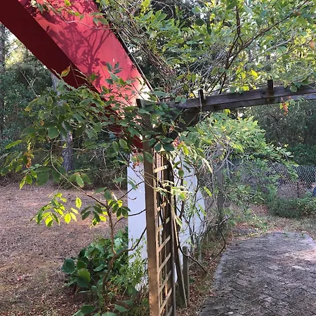 Amapola, Familiale Et Calme Lacanau